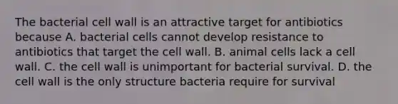 The bacterial cell wall is an attractive target for antibiotics because A. bacterial cells cannot develop resistance to antibiotics that target the cell wall. B. animal cells lack a cell wall. C. the cell wall is unimportant for bacterial survival. D. the cell wall is the only structure bacteria require for survival