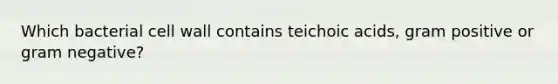 Which bacterial cell wall contains teichoic acids, gram positive or gram negative?