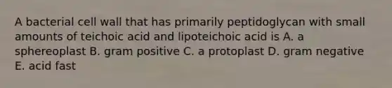 A bacterial cell wall that has primarily peptidoglycan with small amounts of teichoic acid and lipoteichoic acid is A. a sphereoplast B. gram positive C. a protoplast D. gram negative E. acid fast