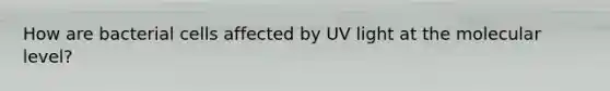 How are bacterial cells affected by UV light at the molecular level?