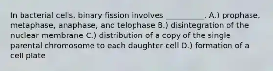 In bacterial cells, binary fission involves __________. A.) prophase, metaphase, anaphase, and telophase B.) disintegration of the nuclear membrane C.) distribution of a copy of the single parental chromosome to each daughter cell D.) formation of a cell plate