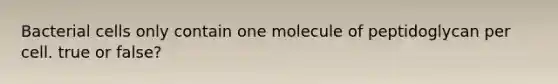 Bacterial cells only contain one molecule of peptidoglycan per cell. true or false?