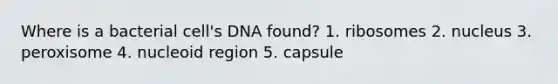 Where is a bacterial cell's DNA found? 1. ribosomes 2. nucleus 3. peroxisome 4. nucleoid region 5. capsule