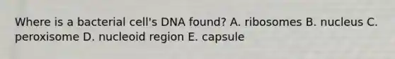 Where is a bacterial cell's DNA found? A. ribosomes B. nucleus C. peroxisome D. nucleoid region E. capsule