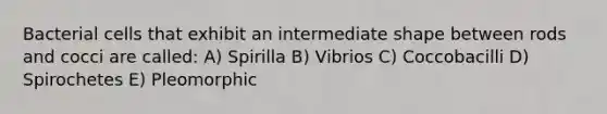 Bacterial cells that exhibit an intermediate shape between rods and cocci are called: A) Spirilla B) Vibrios C) Coccobacilli D) Spirochetes E) Pleomorphic