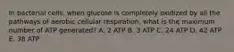 In bacterial cells, when glucose is completely oxidized by all the pathways of aerobic cellular respiration, what is the maximum number of ATP generated? A. 2 ATP B. 3 ATP C. 24 ATP D. 42 ATP E. 38 ATP