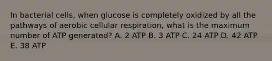 In bacterial cells, when glucose is completely oxidized by all the pathways of aerobic <a href='https://www.questionai.com/knowledge/k1IqNYBAJw-cellular-respiration' class='anchor-knowledge'>cellular respiration</a>, what is the maximum number of ATP generated? A. 2 ATP B. 3 ATP C. 24 ATP D. 42 ATP E. 38 ATP