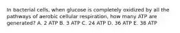 In bacterial cells, when glucose is completely oxidized by all the pathways of aerobic cellular respiration, how many ATP are generated? A. 2 ATP B. 3 ATP C. 24 ATP D. 36 ATP E. 38 ATP