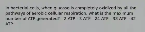 In bacterial cells, when glucose is completely oxidized by all the pathways of aerobic cellular respiration, what is the maximum number of ATP generated? - 2 ATP - 3 ATP - 24 ATP - 38 ATP - 42 ATP