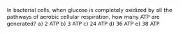 In bacterial cells, when glucose is completely oxidized by all the pathways of aerobic cellular respiration, how many ATP are generated? a) 2 ATP b) 3 ATP c) 24 ATP d) 36 ATP e) 38 ATP