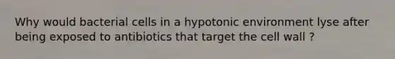 Why would bacterial cells in a hypotonic environment lyse after being exposed to antibiotics that target the cell wall ?