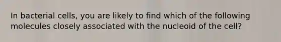 In bacterial cells, you are likely to find which of the following molecules closely associated with the nucleoid of the cell?