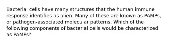 Bacterial cells have many structures that the human immune response identifies as alien. Many of these are known as PAMPs, or pathogen-associated molecular patterns. Which of the following components of bacterial cells would be characterized as PAMPs?