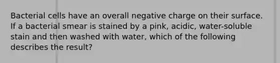 Bacterial cells have an overall negative charge on their surface. If a bacterial smear is stained by a pink, acidic, water-soluble stain and then washed with water, which of the following describes the result?