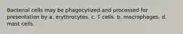 Bacterial cells may be phagocytized and processed for presentation by a. erythrocytes. c. T cells. b. macrophages. d. mast cells.