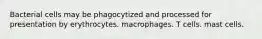 Bacterial cells may be phagocytized and processed for presentation by erythrocytes. macrophages. T cells. mast cells.