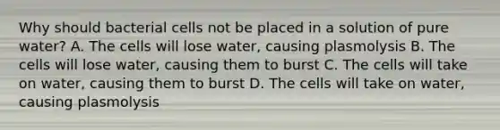 Why should bacterial cells not be placed in a solution of pure water? A. The cells will lose water, causing plasmolysis B. The cells will lose water, causing them to burst C. The cells will take on water, causing them to burst D. The cells will take on water, causing plasmolysis