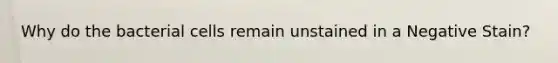 Why do the bacterial cells remain unstained in a Negative Stain?
