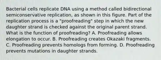 Bacterial cells replicate DNA using a method called bidirectional semiconservative replication, as shown in this figure. Part of the replication process is a "proofreading" step in which the new daughter strand is checked against the original parent strand. What is the function of proofreading? A. Proofreading allows elongation to occur. B. Proofreading creates Okazaki fragments. C. Proofreading prevents homologs from forming. D. Proofreading prevents mutations in daughter strands.