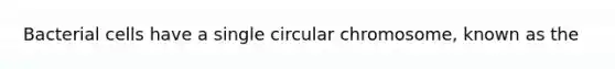 Bacterial cells have a single circular chromosome, known as the