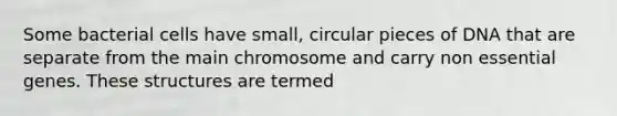 Some bacterial cells have small, circular pieces of DNA that are separate from the main chromosome and carry non essential genes. These structures are termed