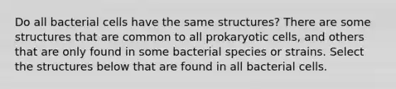 Do all bacterial cells have the same structures? There are some structures that are common to all prokaryotic cells, and others that are only found in some bacterial species or strains. Select the structures below that are found in all bacterial cells.