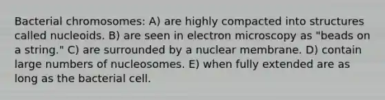 Bacterial chromosomes: A) are highly compacted into structures called nucleoids. B) are seen in electron microscopy as "beads on a string." C) are surrounded by a nuclear membrane. D) contain large numbers of nucleosomes. E) when fully extended are as long as the bacterial cell.