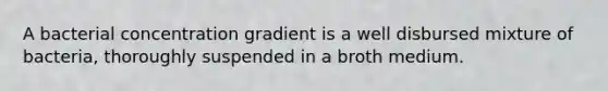 A bacterial concentration gradient is a well disbursed mixture of bacteria, thoroughly suspended in a broth medium.