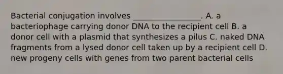 Bacterial conjugation involves _________________. A. a bacteriophage carrying donor DNA to the recipient cell B. a donor cell with a plasmid that synthesizes a pilus C. naked DNA fragments from a lysed donor cell taken up by a recipient cell D. new progeny cells with genes from two parent bacterial cells