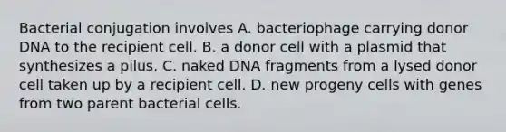 Bacterial conjugation involves A. bacteriophage carrying donor DNA to the recipient cell. B. a donor cell with a plasmid that synthesizes a pilus. C. naked DNA fragments from a lysed donor cell taken up by a recipient cell. D. new progeny cells with genes from two parent bacterial cells.