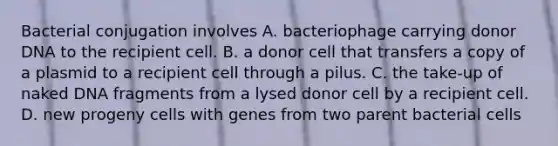 Bacterial conjugation involves A. bacteriophage carrying donor DNA to the recipient cell. B. a donor cell that transfers a copy of a plasmid to a recipient cell through a pilus. C. the take-up of naked DNA fragments from a lysed donor cell by a recipient cell. D. new progeny cells with genes from two parent bacterial cells