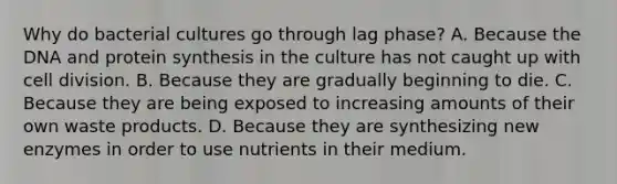 Why do bacterial cultures go through lag phase? A. Because the DNA and protein synthesis in the culture has not caught up with cell division. B. Because they are gradually beginning to die. C. Because they are being exposed to increasing amounts of their own waste products. D. Because they are synthesizing new enzymes in order to use nutrients in their medium.