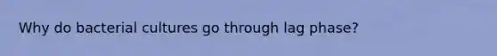 Why do bacterial cultures go through lag phase?