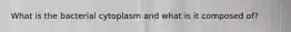 What is the bacterial cytoplasm and what is it composed of?