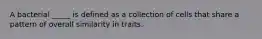 A bacterial _____ is defined as a collection of cells that share a pattern of overall similarity in traits.