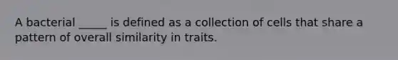 A bacterial _____ is defined as a collection of cells that share a pattern of overall similarity in traits.