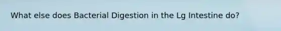 What else does Bacterial Digestion in the Lg Intestine do?