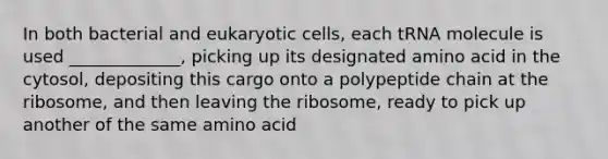 In both bacterial and eukaryotic cells, each tRNA molecule is used _____________, picking up its designated amino acid in the cytosol, depositing this cargo onto a polypeptide chain at the ribosome, and then leaving the ribosome, ready to pick up another of the same amino acid