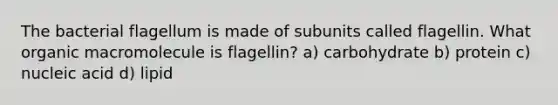 The bacterial flagellum is made of subunits called flagellin. What organic macromolecule is flagellin? a) carbohydrate b) protein c) nucleic acid d) lipid