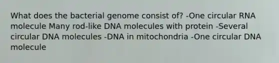 What does the bacterial genome consist of? -One circular RNA molecule Many rod-like DNA molecules with protein -Several circular DNA molecules -DNA in mitochondria -One circular DNA molecule