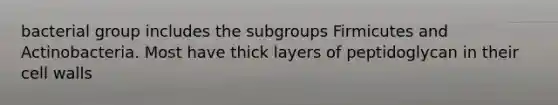 bacterial group includes the subgroups Firmicutes and Actinobacteria. Most have thick layers of peptidoglycan in their cell walls