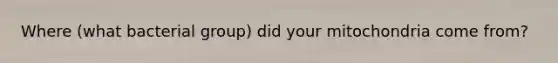 Where (what bacterial group) did your mitochondria come from?