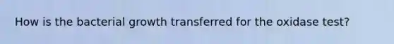 How is the bacterial growth transferred for the oxidase test?