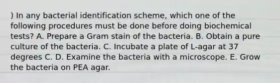 ) In any bacterial identification scheme, which one of the following procedures must be done before doing biochemical tests? A. Prepare a Gram stain of the bacteria. B. Obtain a pure culture of the bacteria. C. Incubate a plate of L-agar at 37 degrees C. D. Examine the bacteria with a microscope. E. Grow the bacteria on PEA agar.