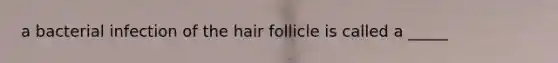 a bacterial infection of the hair follicle is called a _____