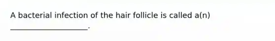 A bacterial infection of the hair follicle is called a(n) ____________________.