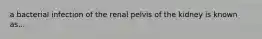 a bacterial infection of the renal pelvis of the kidney is known as...