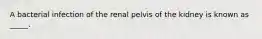 A bacterial infection of the renal pelvis of the kidney is known as _____.