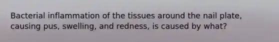 Bacterial inflammation of the tissues around the nail plate, causing pus, swelling, and redness, is caused by what?