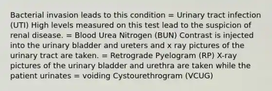 Bacterial invasion leads to this condition = Urinary tract infection (UTI) High levels measured on this test lead to the suspicion of renal disease. = Blood Urea Nitrogen (BUN) Contrast is injected into the urinary bladder and ureters and x ray pictures of the urinary tract are taken. = Retrograde Pyelogram (RP) X-ray pictures of the urinary bladder and urethra are taken while the patient urinates = voiding Cystourethrogram (VCUG)
